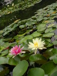 DSCN8367