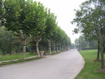 DSCN8345