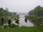 DSCN8346