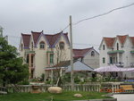 DSCN7736