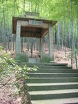 DSCN4187