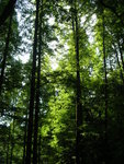 DSCN8430