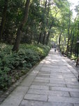 DSCN8432