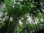 DSCN8462