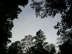 DSCN8471