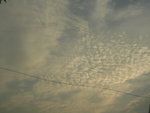 DSCN7857
