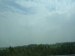 DSCN8317