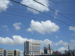 DSCN8696