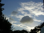 DSCN8705