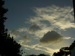 DSCN8706