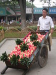 DSCN8161