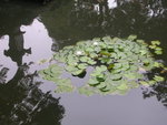 DSCN8175