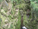 DSCN8176