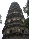 DSCN8177