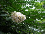 DSCN8185