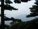 DSCN8758