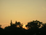 DSCN4235