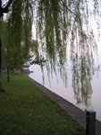 DSCN8482