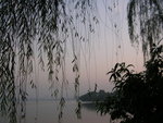 DSCN8483