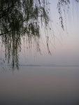 DSCN8486
