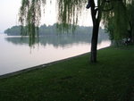 DSCN8491