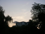 DSCN8493
