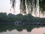 DSCN8494