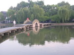 DSCN8495
