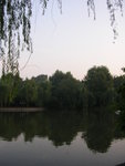 DSCN8496