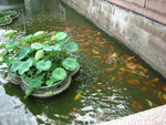 DSCN3469