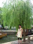 DSCN4386