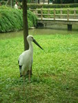 DSCN4458