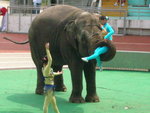 DSCN4477