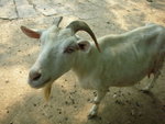 DSCN4493