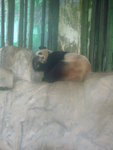 DSCN4509