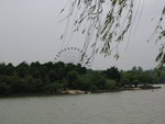 DSCN8676