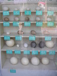 DSCN8687