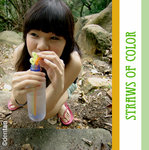 StrawsofColor20