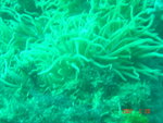 DSC00004