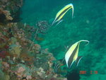 DSC00009