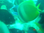DSC00014