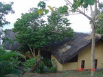 DSC00084