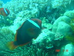 DSC00090