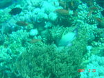 DSC00091