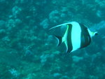 4R_01_P1010028_9