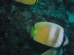 4R_01_P1010031_10