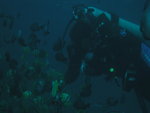 4R_01_P1010032_11
