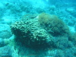 4R_01_P1010110_54