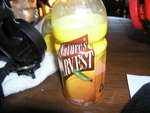 4R_01_P1010112_56