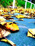 edit IMG_5154
